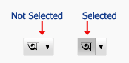 transliterate1